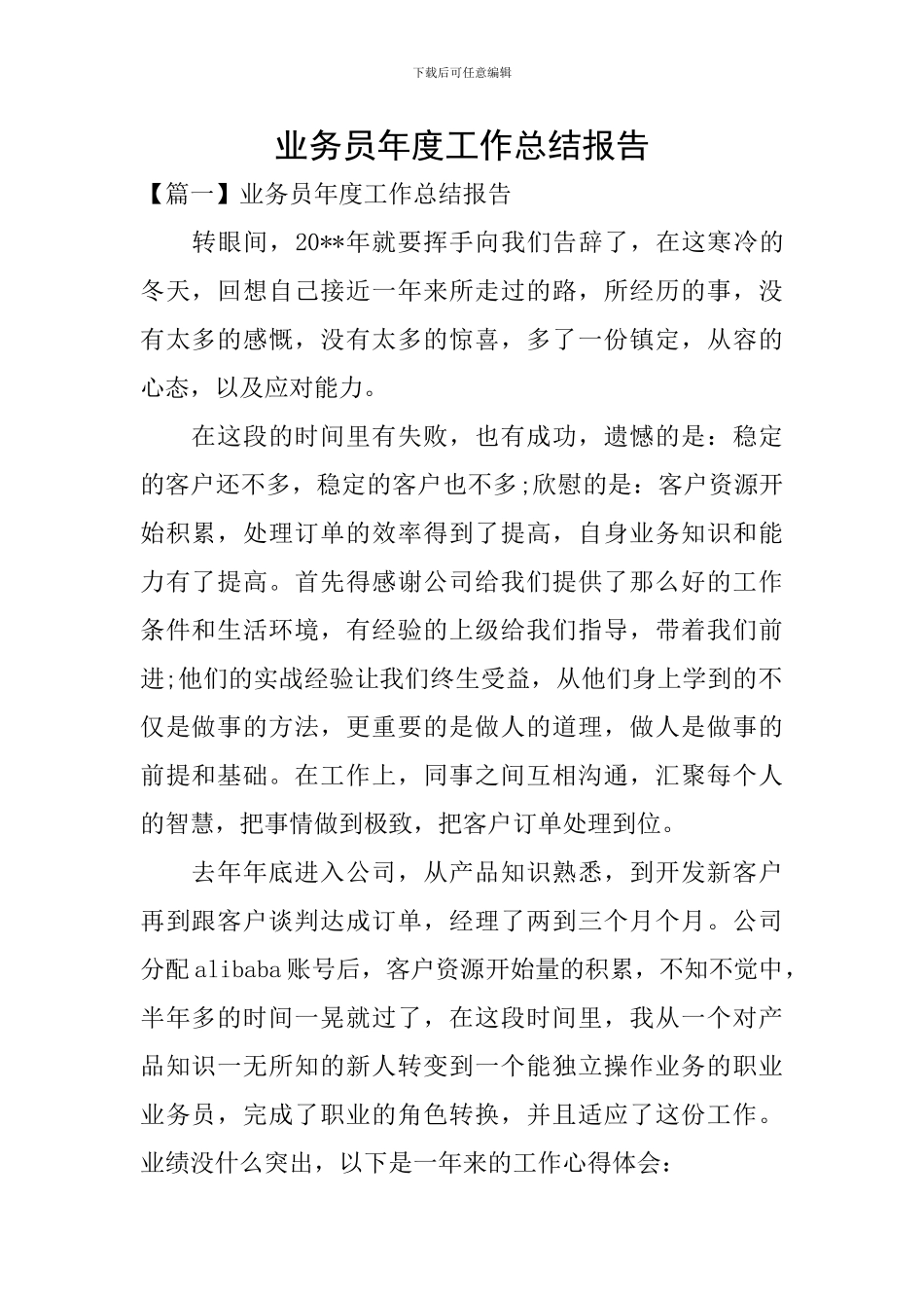 业务员年度工作总结报告_第1页