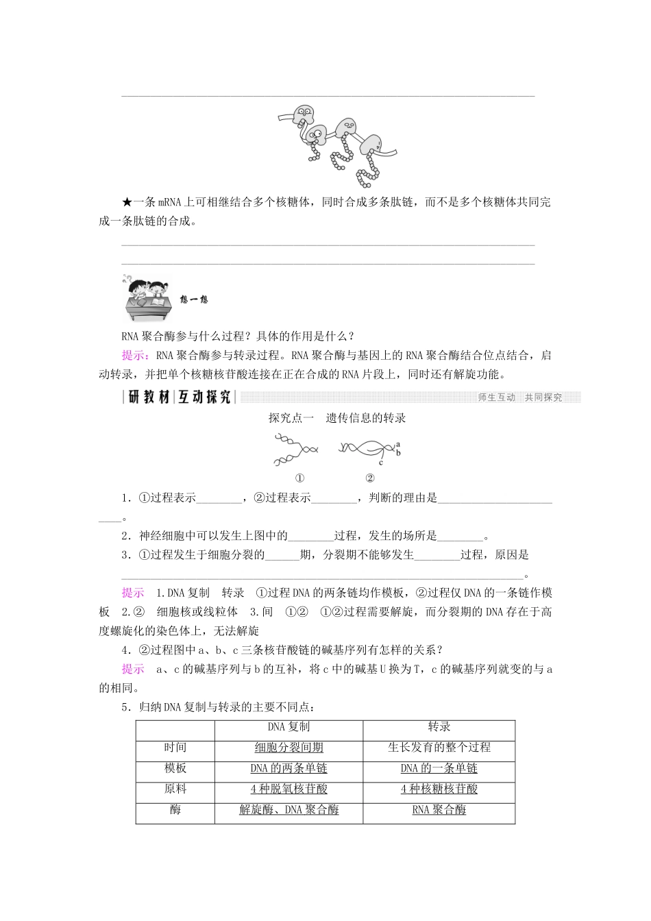 高中生物 第四章 遗传的分子基础 第14课时 从基因到蛋白质学案 苏教版必修2-苏教版高一必修2生物学案_第3页