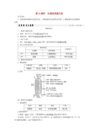 高中生物 第四章 遗传的分子基础 第14课时 从基因到蛋白质学案 苏教版必修2-苏教版高一必修2生物学案