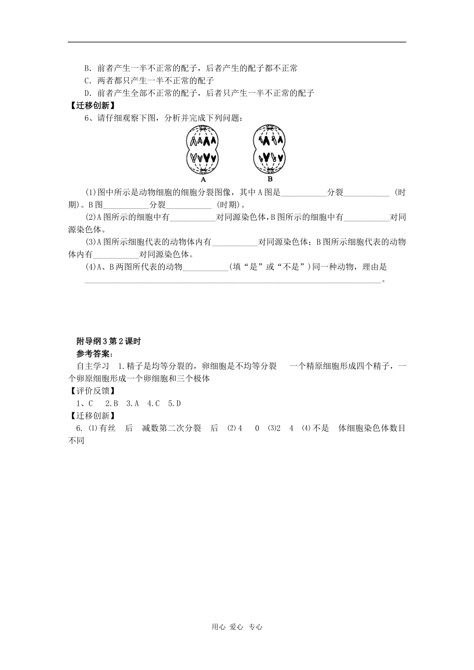 高中生物：2.1《减数分裂中的染色体行为第2课时》学案（浙科版必修2）_第3页