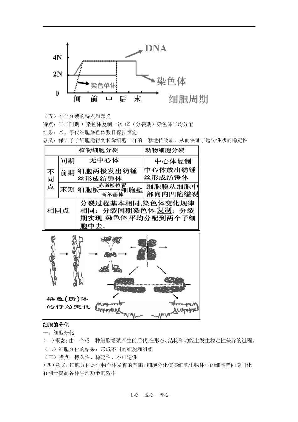 高中生物：4.1 细胞的增殖与分化 学案1中图版必修1_第3页