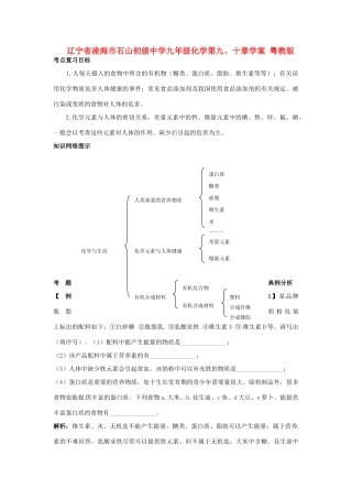 辽宁省凌海市石山初级中学九年级化学第九、十章学案 粤教版
