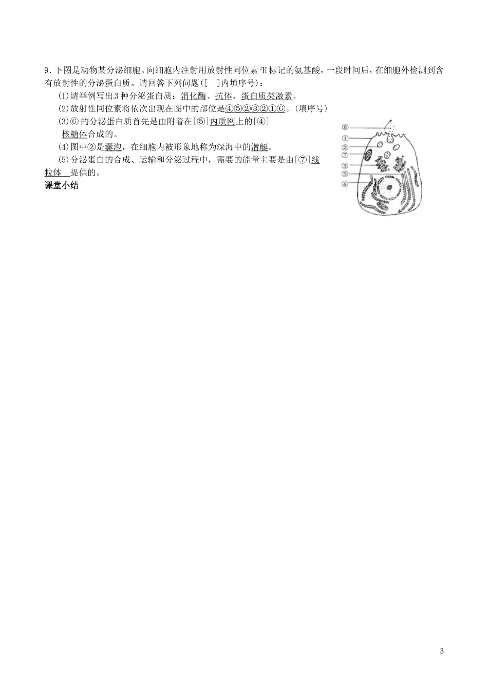 高中生物 第三章 第2讲 系统内的分工合作导学案 新人教版必修1-新人教版高一必修1生物学案_第3页