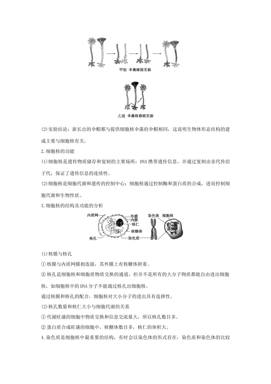 高中生物 第三章 细胞的结构和功能 3.2.3 细胞核和细胞的生物膜系统学案 新人教版必修1-新人教版高一必修1生物学案_第3页