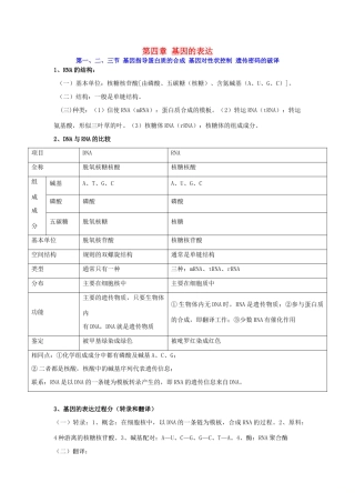 高中生物 第四章 基因的表达知识点总结学案 新人教版必修2-新人教版高一必修2生物学案