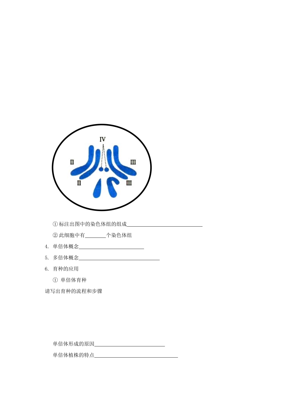 高中生物 第四章 生物的变异 第三节 染色体畸变可能引起性状改变学案（1）浙科版必修2-浙科版高一必修2生物学案_第3页