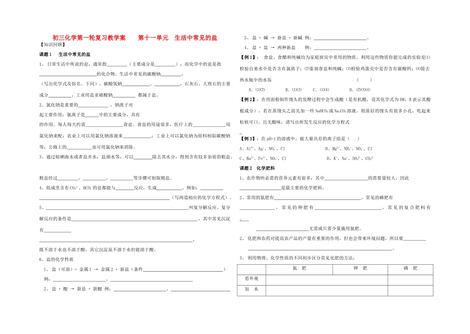 中考化学第第一轮复习教学案12（无答案）_第1页