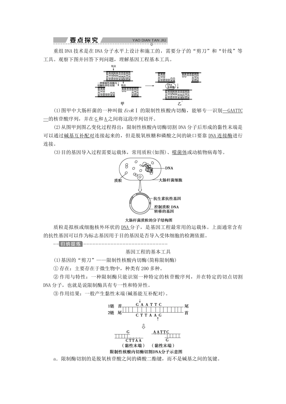 高中生物 第四章 遗传的分子基础 第四节 基因突变和基因重组 第2课时 基因工程及其应用学案 苏教版必修2-苏教版高一必修2生物学案_第2页