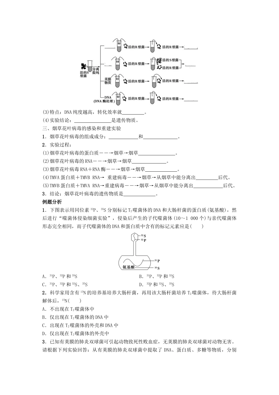 高中生物 第三章 遗传的分子基础 3.1 核酸是遗传物质的证据导学案 浙科版必修2-浙科版高一必修2生物学案_第2页
