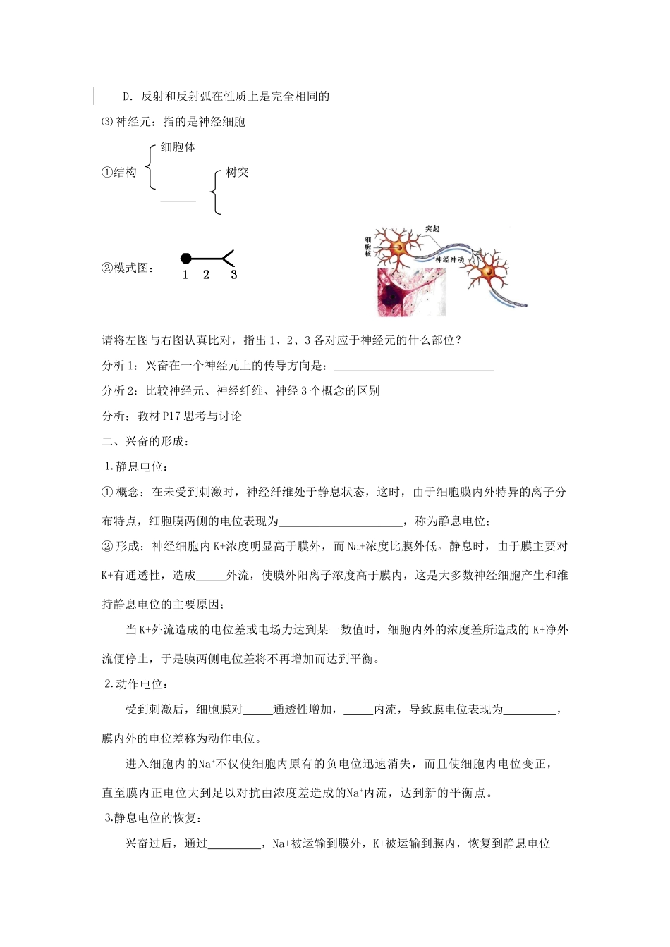 高中生物 第二章 动物和人体生命活动的调节 第一节 通过神经系统的调节导学案 新人教版必修3-新人教版高二必修3生物学案_第2页
