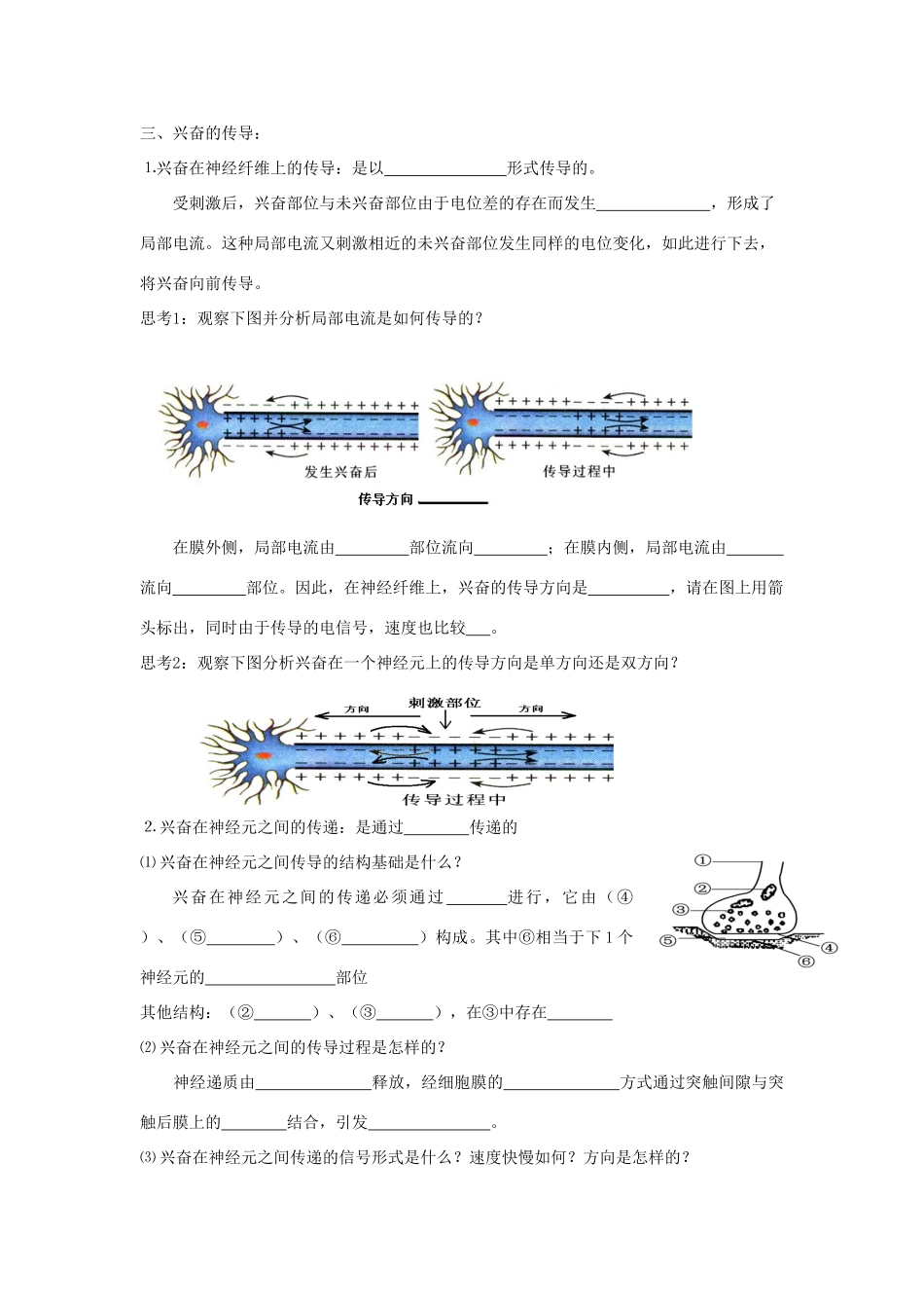 高中生物 第二章 动物和人体生命活动的调节 第一节 通过神经系统的调节导学案 新人教版必修3-新人教版高二必修3生物学案_第3页