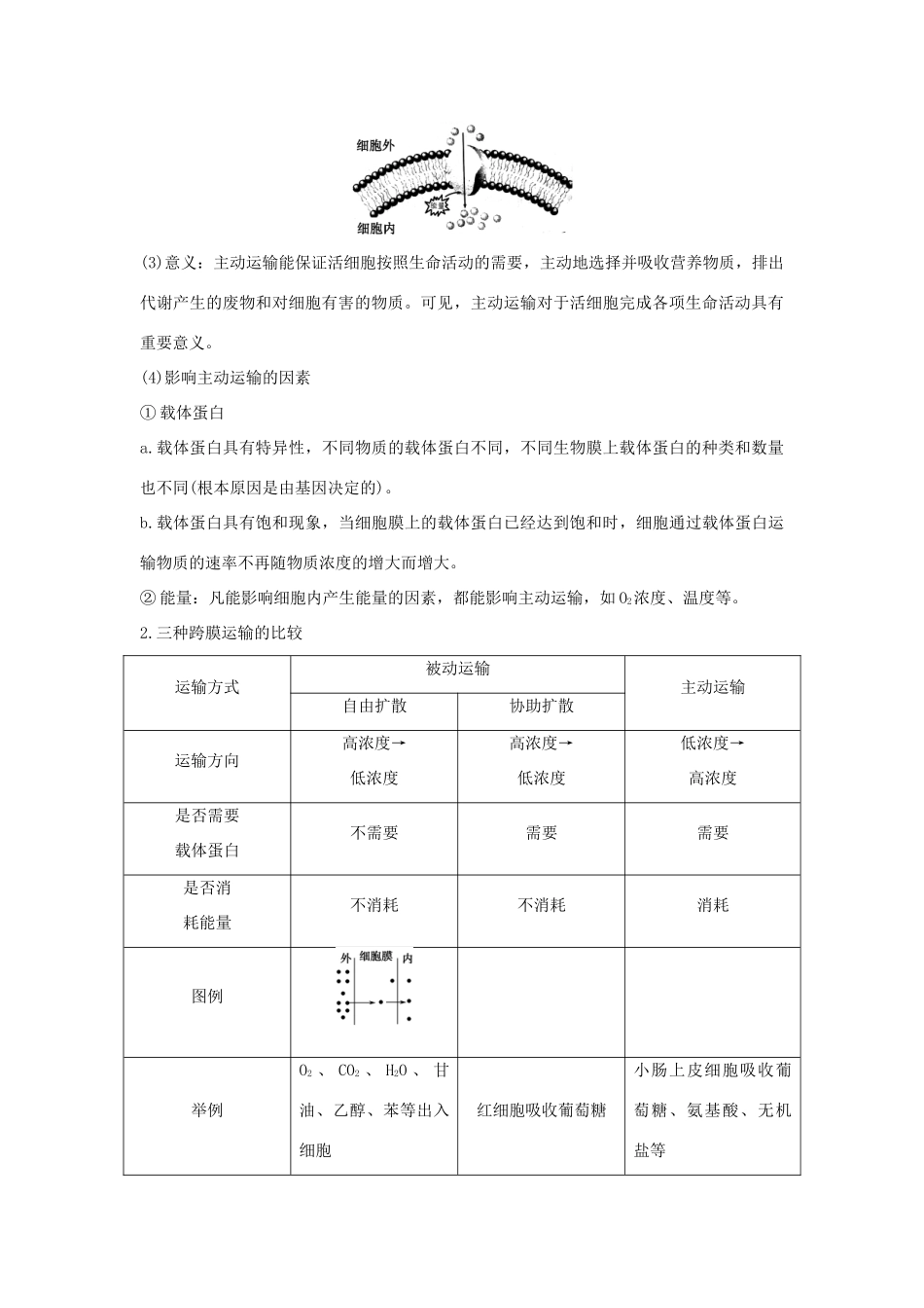 高中生物 第三章 细胞的结构和功能 3.3.2 主动运输学案 新人教版必修1-新人教版高一必修1生物学案_第2页