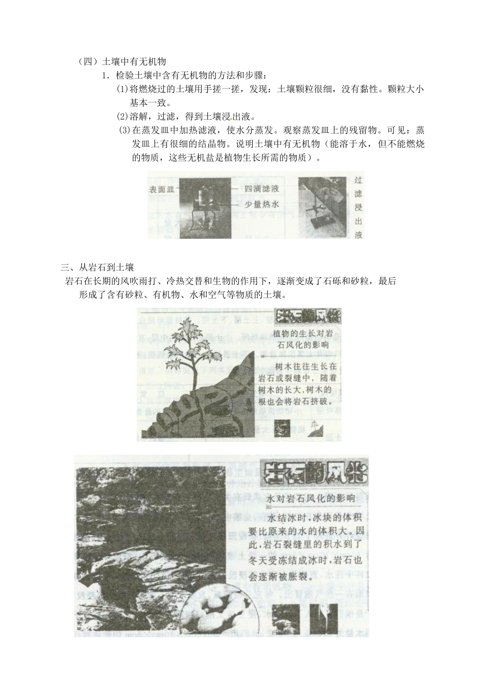 浙江省临海市新概念教育咨询有限公司八年级科学下册 第三章《第1节 土壤中有什么》学案 浙教版_第3页