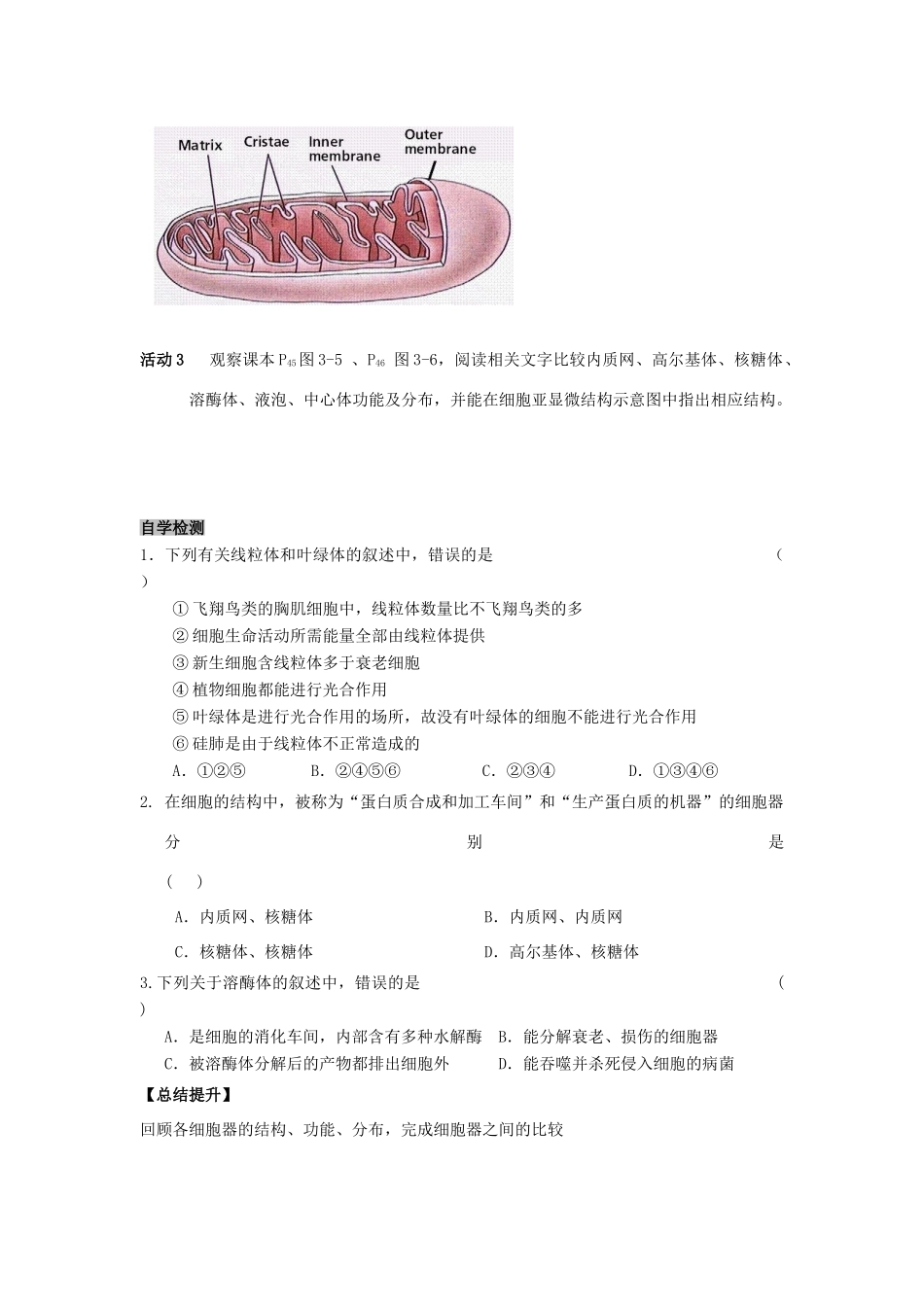 高中生物 第三章 细胞的基本结构 3.2 细胞器-系统内的分工合作学案2 新人教版必修1-新人教版高一必修1生物学案_第2页