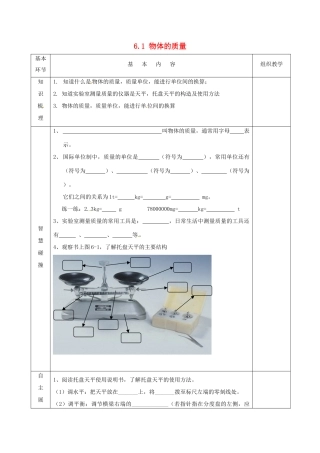 2015年春八年级物理下册 6.1 物体的质量导学案2（无答案）（新版）苏科版