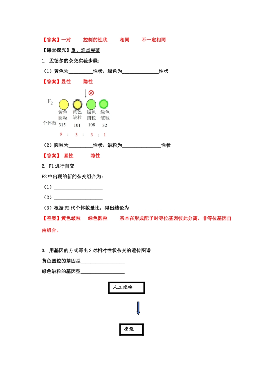 高中生物 第一章 孟德尔定律 第二节 孟德尔从两对相对性状的杂交实验中总结出自由组合定律学案（1）浙科版必修2-浙科版高一必修2生物学案_第2页