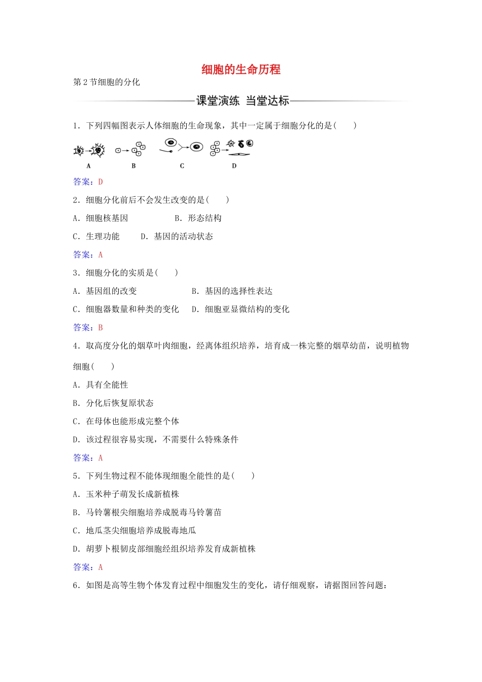 高中生物 第6章 第2节 细胞的分化练习 新人教版必修1-新人教版高一必修1生物学案_第1页