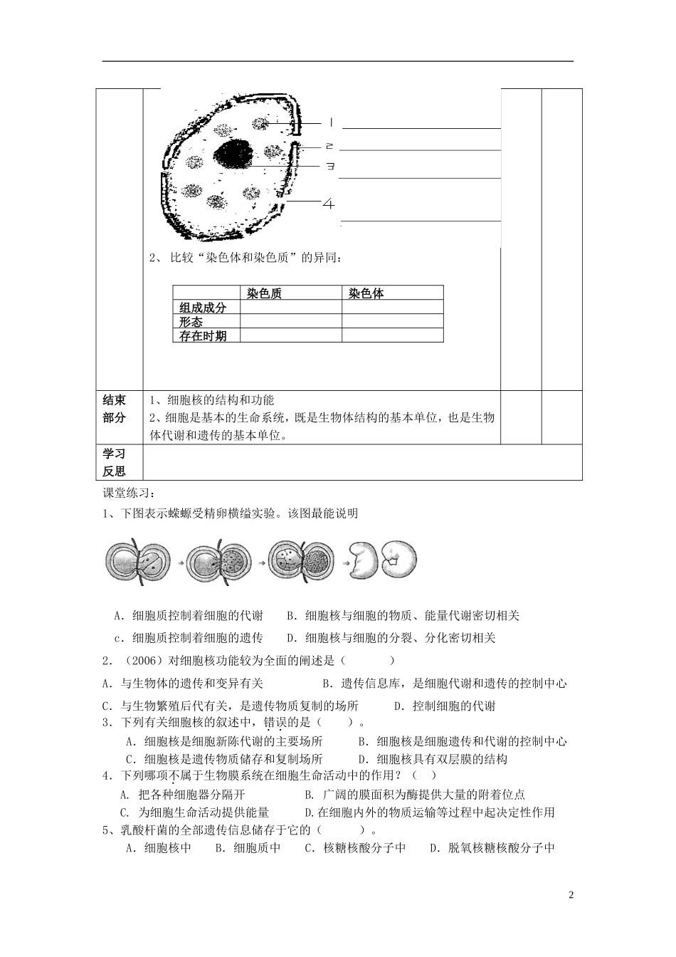 高中生物 第三章 细胞的基本结构 第三节 细胞核——系统的控制中心学案 新人教版必修1-新人教版高一必修1生物学案_第2页