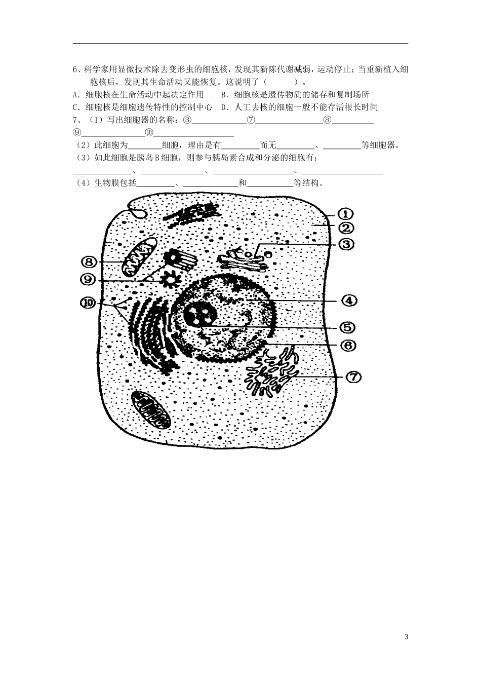 高中生物 第三章 细胞的基本结构 第三节 细胞核——系统的控制中心学案 新人教版必修1-新人教版高一必修1生物学案_第3页