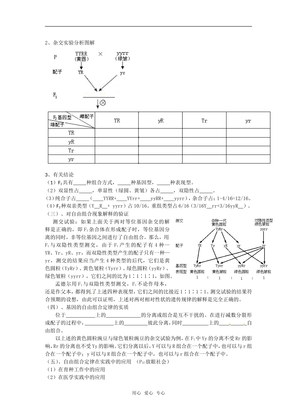 高中生物： 32 基因的自由组合定律（学案）苏教版必修2_第2页