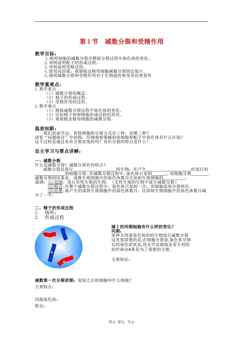 高中生物：2.1《减数分裂和受精作用》学案（1）（新人教版必修2）_第1页