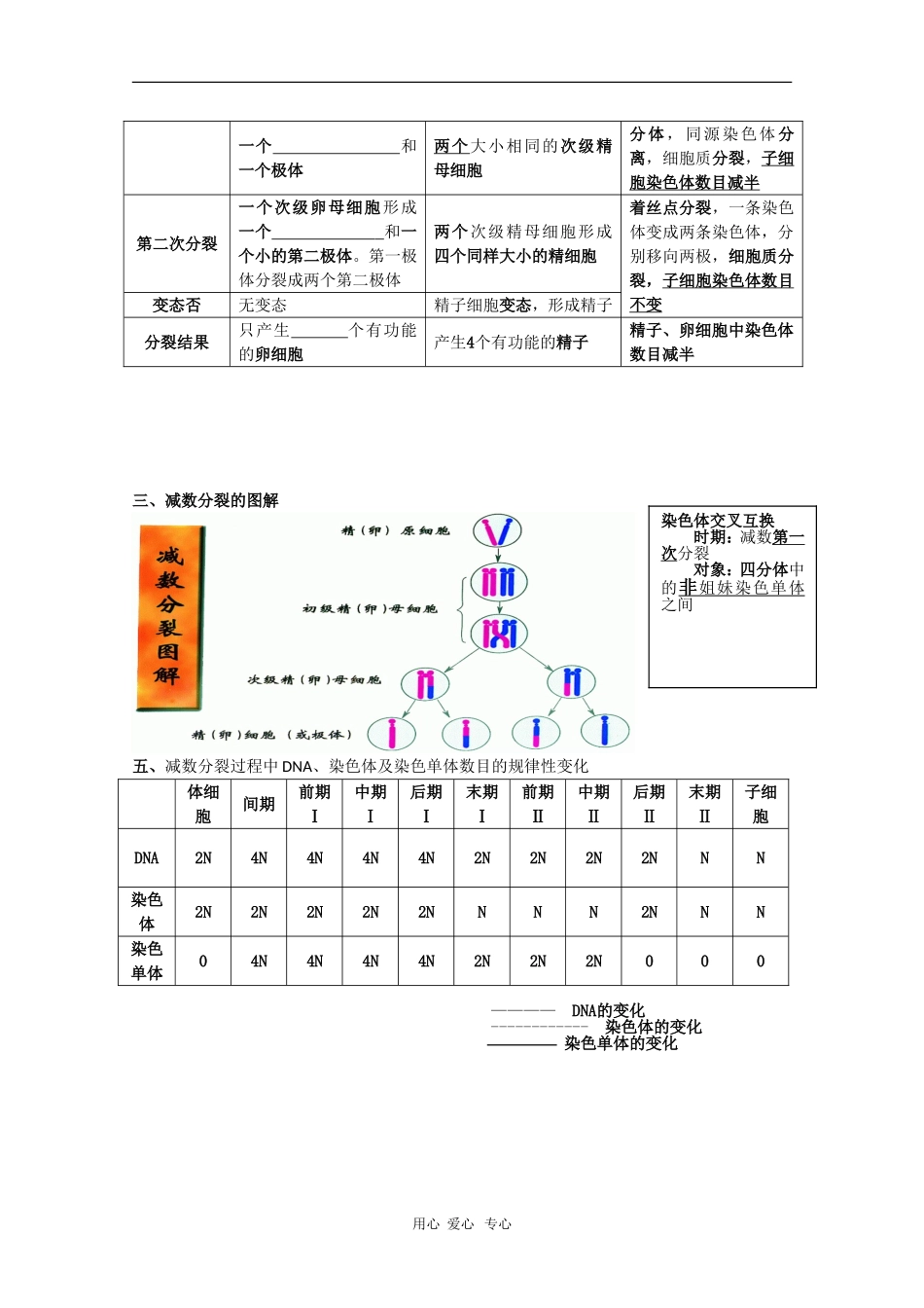 高中生物：2.1《减数分裂和受精作用》学案（1）（新人教版必修2）_第3页