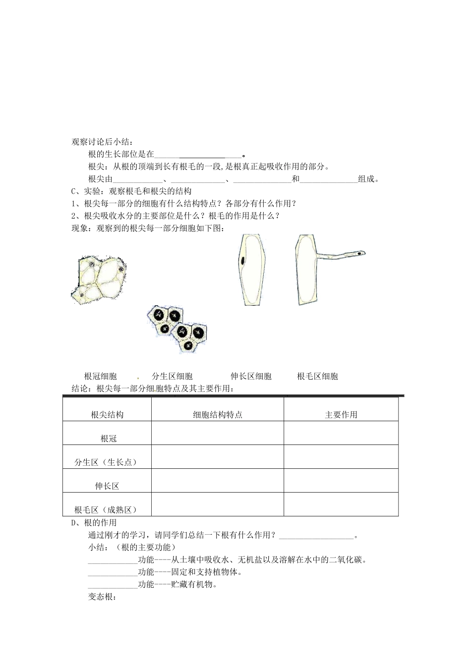 八年级科学上册 6.1绿色植物的营养器官第一课时学案（无答案）华东师大版_第2页