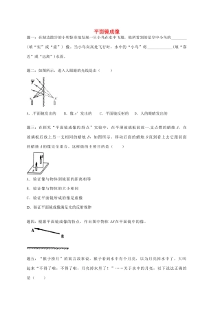 （同步复习精讲辅导）北京市2014-2015学年八年级物理上册 知识点17 平面镜成像课后练习一（含详解）（新版）新人教版