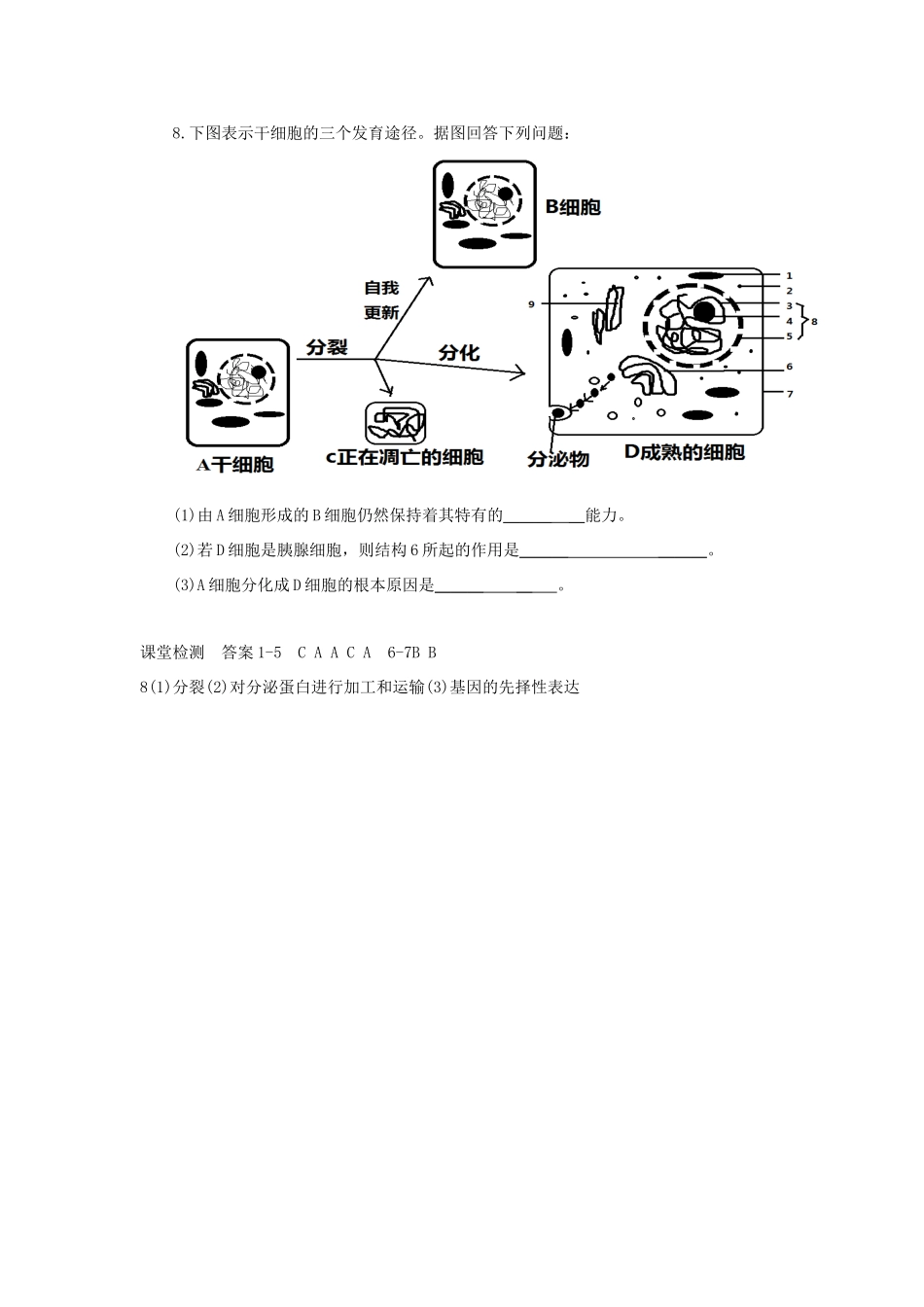 高中生物 第六章 细胞的生命历程 6.2 细胞的分化学案 新人教版必修1-新人教版高一必修1生物学案_第3页