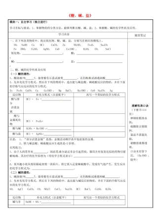 广东省河源市中英文实验学校九年级化学《第三部分 酸、碱、盐》讲学稿
