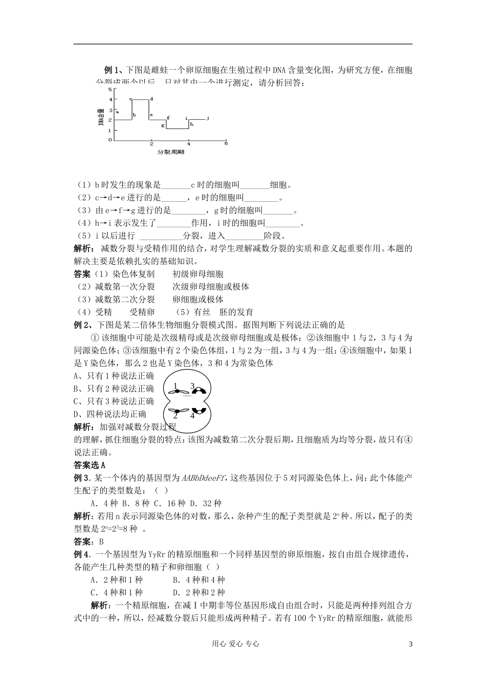 高中生物《减数分裂和受精作用》学案8 新人教版必修2_第3页