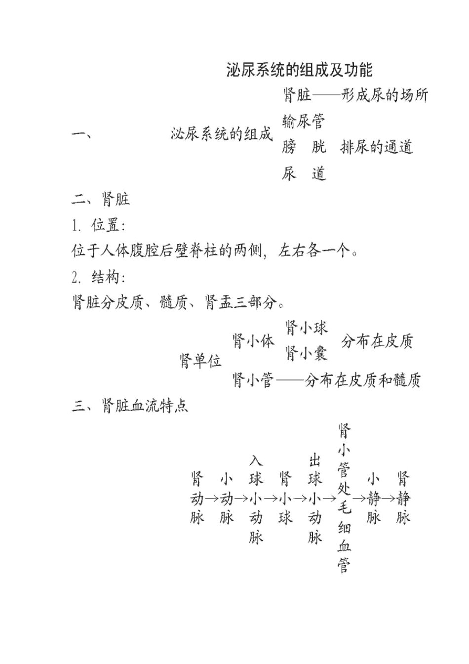 2013年七年级生物下册 第十一章 人体废物的排出 第二节 尿的形成与排出教案 北师大版_第3页