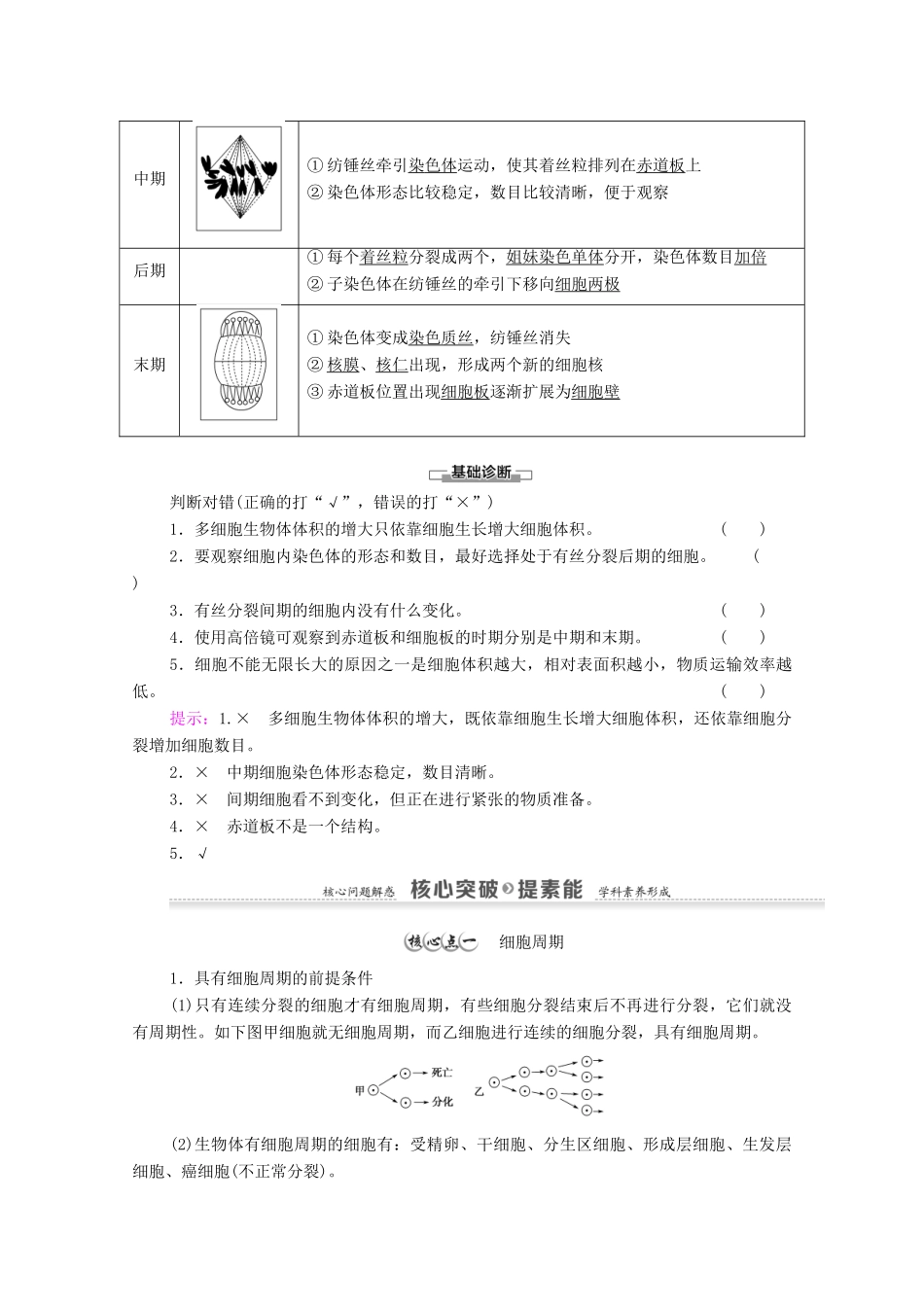 高中生物 第6章 细胞的生命历程 第1节 第1课时 细胞周期和高等植物细胞的有丝分裂学案 新人教版必修1-新人教版高中必修1生物学案_第2页