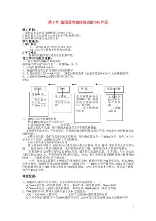 高中生物《基因是有遗传效应的DNA片断》学案4 新人教版必修2