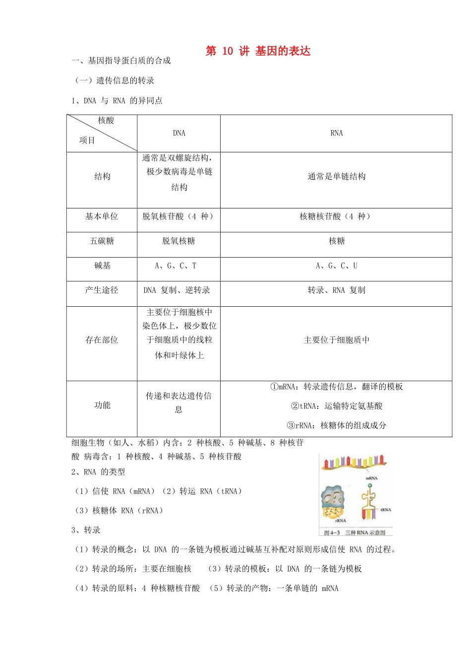 高中生物学业水平测试复习 第10讲 基因的表达学案-人教版高二全册生物学案_第1页