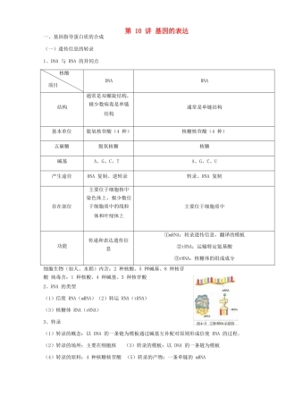 高中生物学业水平测试复习 第10讲 基因的表达学案-人教版高二全册生物学案