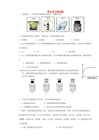 山东省枣庄是台儿庄区涧头二中九年级化学 第五章 第五单元测试题学案 鲁教版