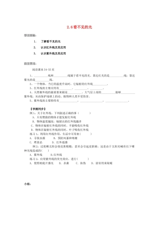 八年级物理上册 2.1.6 看不见的光导学案（无答案）人教新课标版
