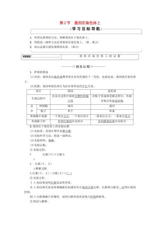 高中生物 第二章 基因和染色体的关系 第2节 基因在染色体上学案 新人教版必修2-新人教版高一必修2生物学案