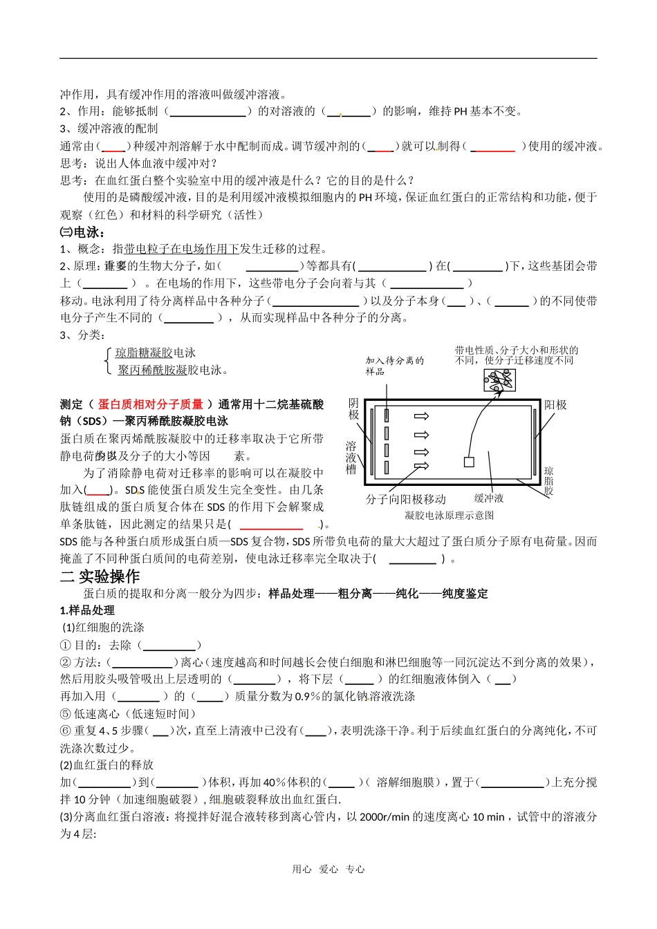 高中生物：5.3《血红蛋白的提取和分离》学案（3）新人教版选修1_第2页