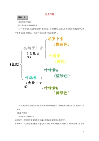 高中生物《光合作用》学案3 浙教版必修1