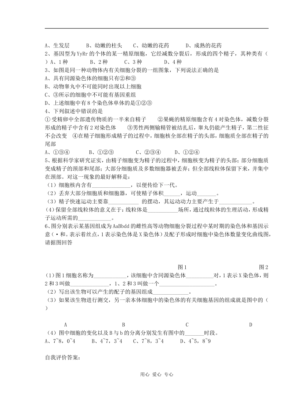 高中生物减数分裂与有性生殖细胞的形成学案_第2页