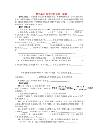 九年级化学 第六单元《海水中的化学》学案（无答案） 鲁教版