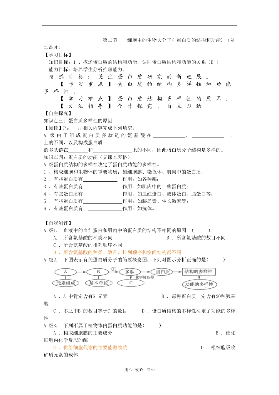 高中生物：2.2《细胞中的生物大分子》第2课时学案（苏教版必修1）_第1页