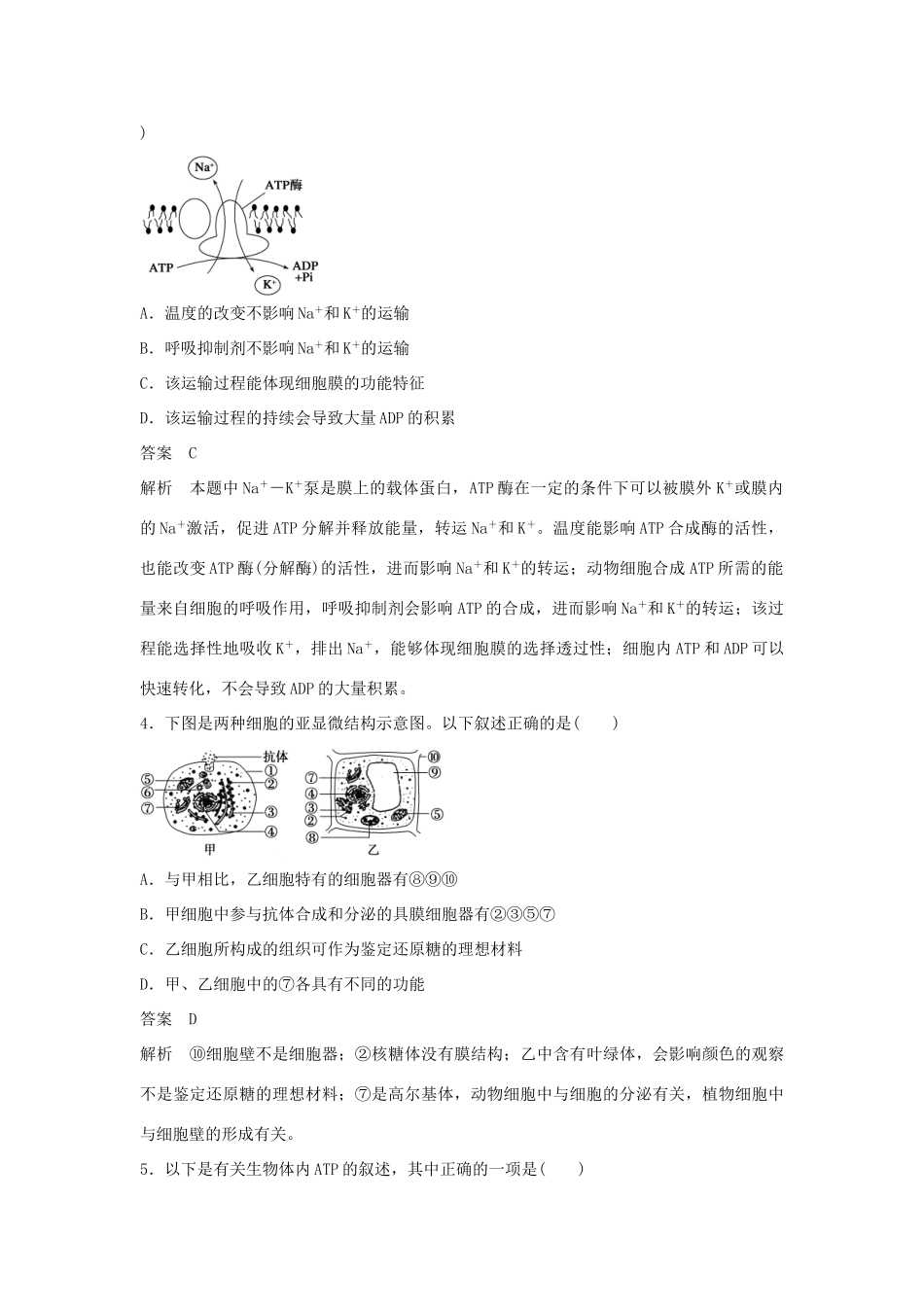 高中生物 第五章 细胞增殖、分化、衰老与凋亡综合检测卷 苏教版必修1-苏教版高一必修1生物学案_第2页