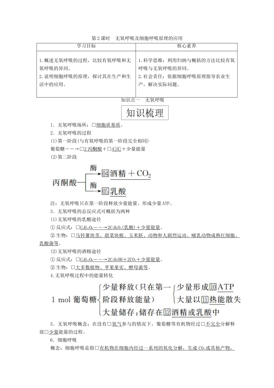 高中生物 第五章 细胞的能量供应和利用 第3节 第2课时 无氧呼吸及细胞呼吸原理的应用学案 新人教版必修1-新人教版高一必修1生物学案_第1页
