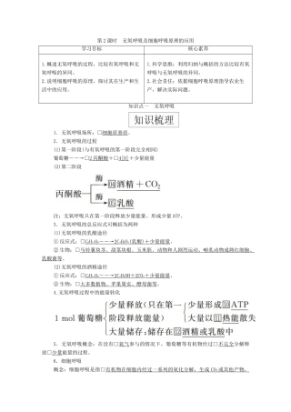 高中生物 第五章 细胞的能量供应和利用 第3节 第2课时 无氧呼吸及细胞呼吸原理的应用学案 新人教版必修1-新人教版高一必修1生物学案
