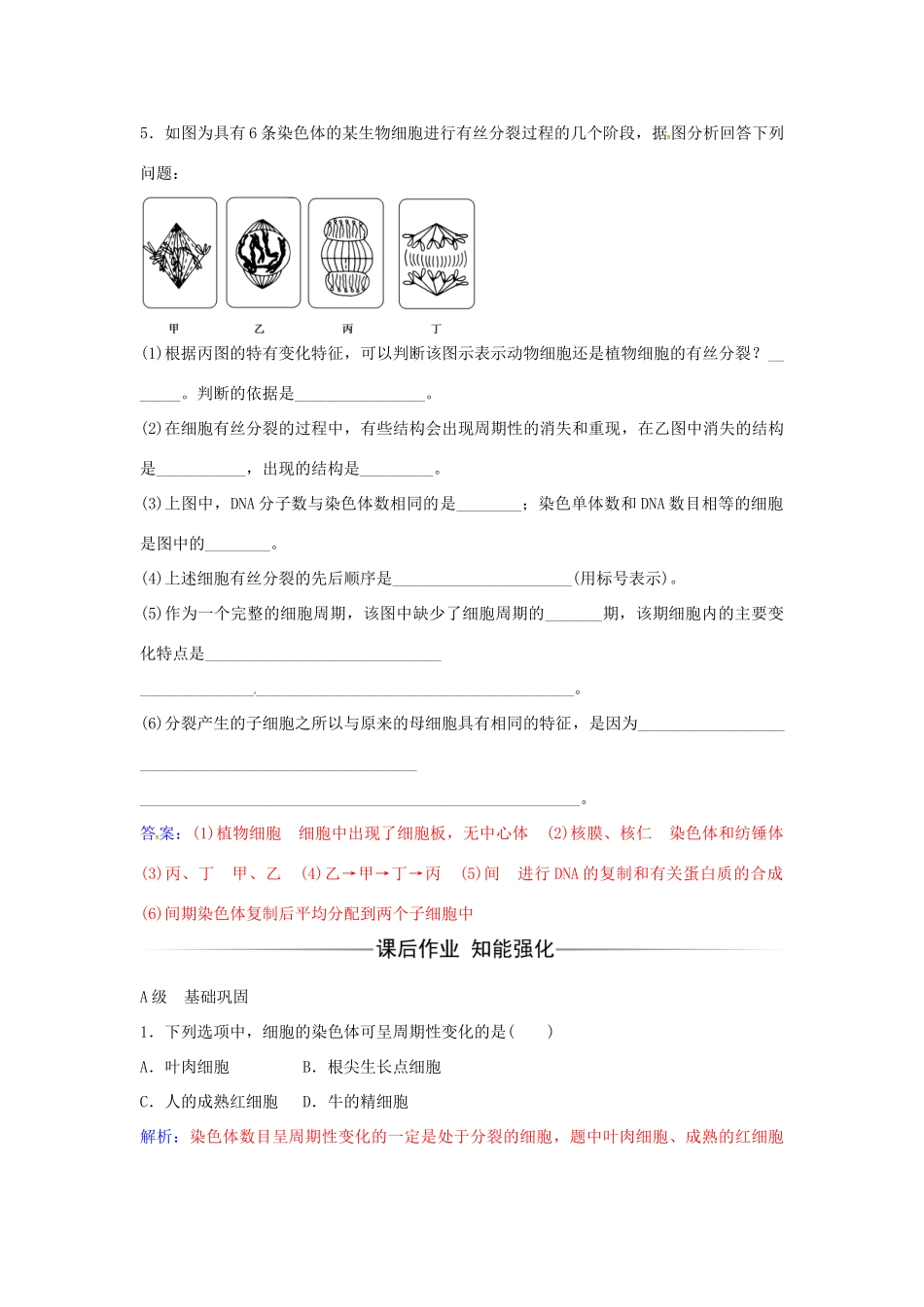 高中生物 第6章 第1节 细胞周期和植物细胞的有丝分裂（第1课时）练习 新人教版必修1-新人教版高一必修1生物学案_第2页