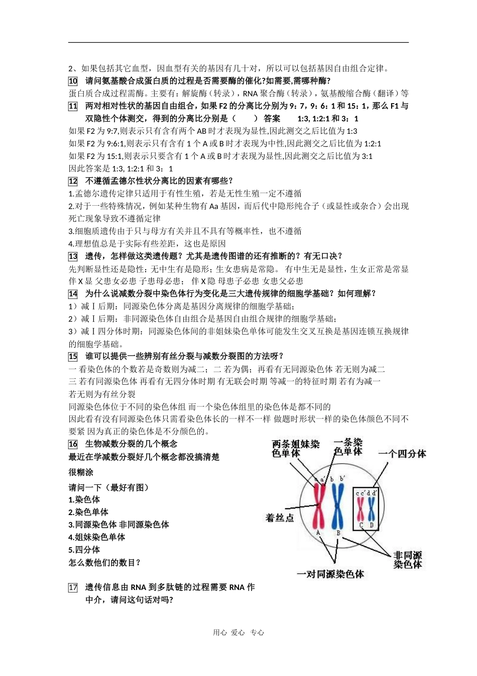 高中生物：遗传与进化易错知识点汇总学案_第2页