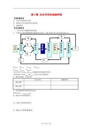 高中生物：第4章《光合作用和细胞呼吸》学案（1）（苏教版必修1）